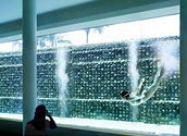 Подводное окно в спортивном бассейне